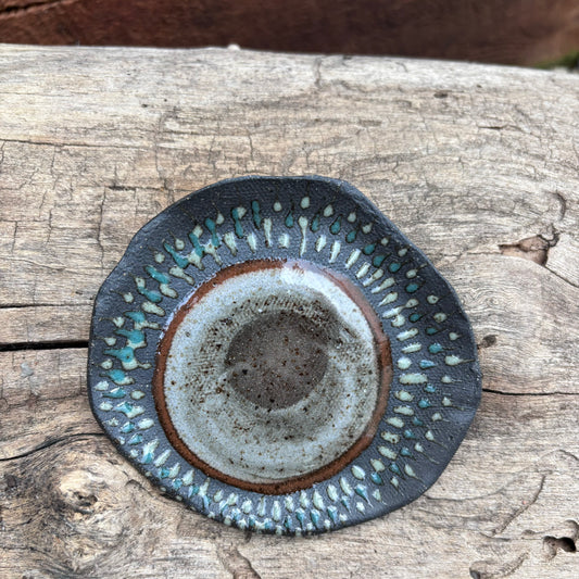 Lil Bitty Dish